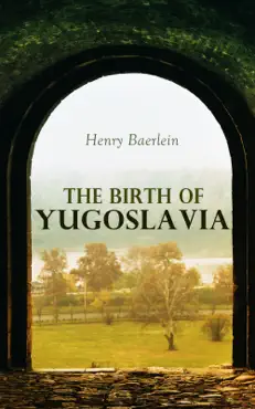 the birth of yugoslavia book cover image