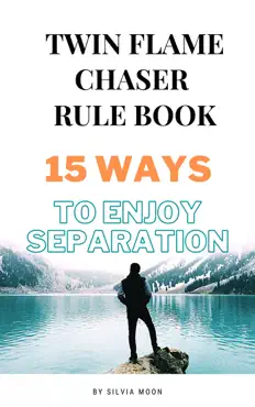twin flame chaser rule book book cover image