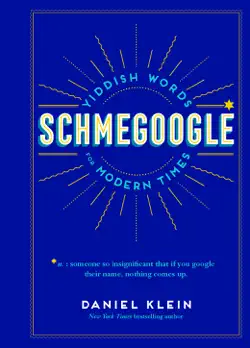 schmegoogle book cover image