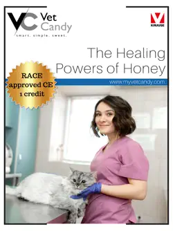 healing powers of honey book cover image