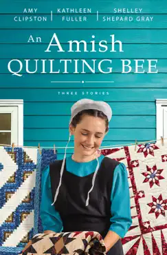 an amish quilting bee book cover image