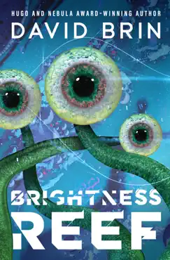 brightness reef book cover image