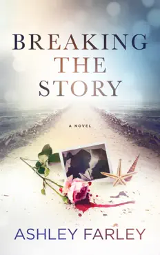 breaking the story book cover image