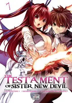 the testament of sister new devil t07 book cover image