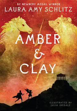 amber and clay book cover image