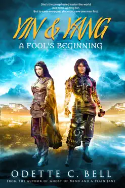 yin and yang: a fool's beginning book cover image