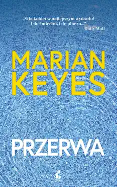 przerwa book cover image
