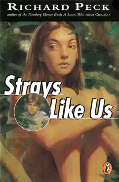 strays like us book cover image