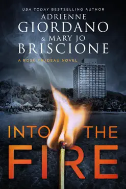 into the fire book cover image