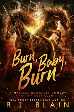 burn, baby, burn book cover image