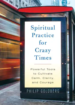 spiritual practice for crazy times book cover image
