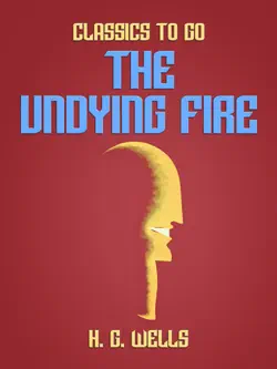 the undying fire book cover image