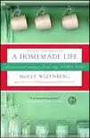 A Homemade Life synopsis, comments