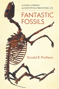 fantastic fossils book cover image