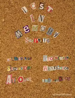 lost in memory: snippets book cover image