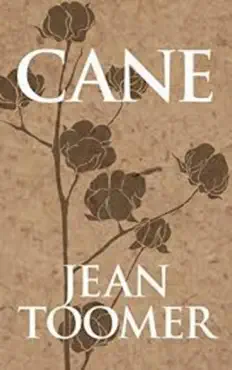 cane book cover image