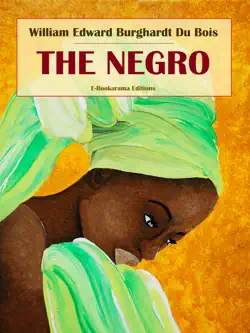 the negro book cover image