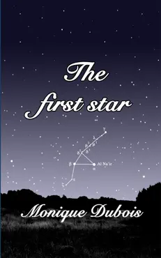 the first star book cover image