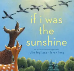 if i was the sunshine book cover image