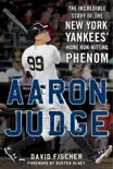 Aaron Judge synopsis, comments