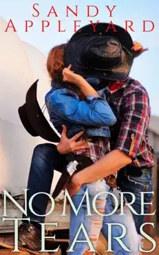 no more tears book cover image