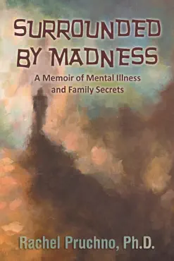 surrounded by madness book cover image
