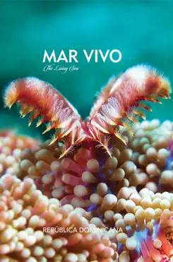 mar vivo book cover image