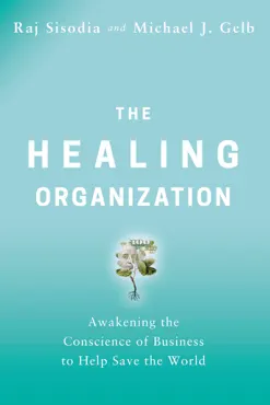 the healing organization book cover image