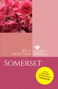 somerset book cover image