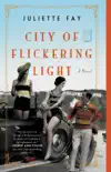City of Flickering Light synopsis, comments