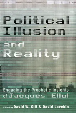 political illusion and reality book cover image