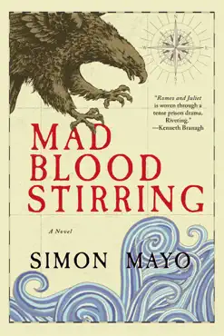 mad blood stirring book cover image