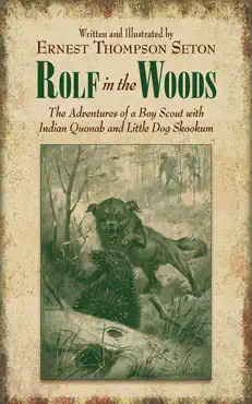 rolf in the woods book cover image
