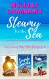 Steamy by the Sea synopsis, comments