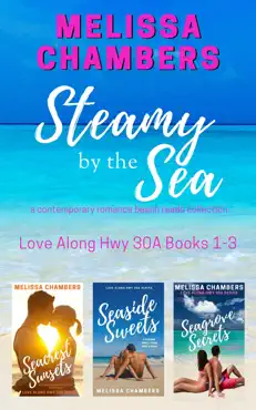 steamy by the sea book cover image