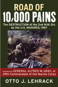 road of 10,000 pains book cover image