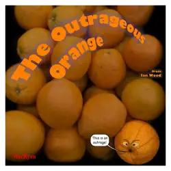 the outrageous orange book cover image