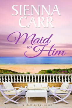 maid for him book cover image