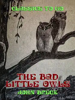 the bad little owls book cover image