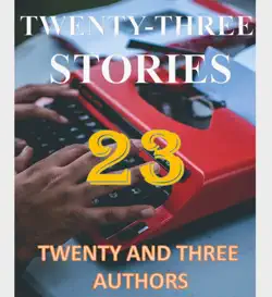 twenty three stories book cover image