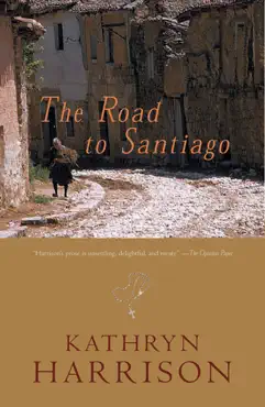 the road to santiago book cover image