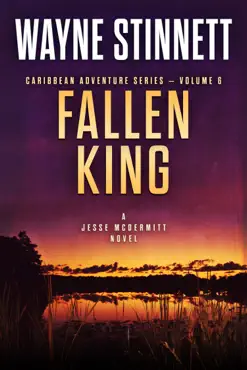 fallen king book cover image