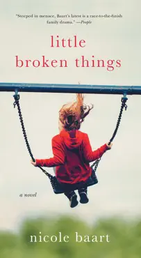 little broken things book cover image