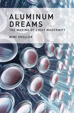 aluminum dreams book cover image