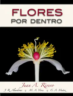 flores por dentro book cover image