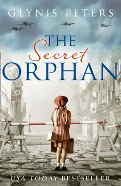 the secret orphan book cover image