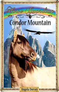condor mountain book cover image