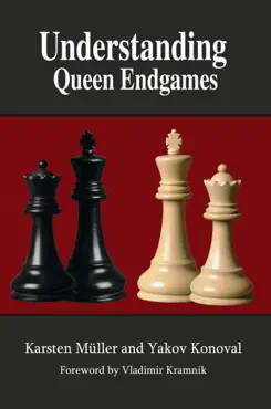 understanding queen endgames book cover image
