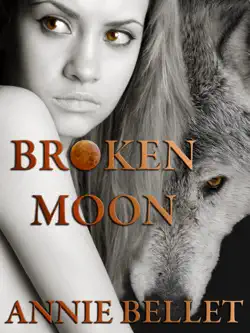 broken moon book cover image