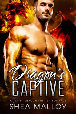 dragon's captive book cover image